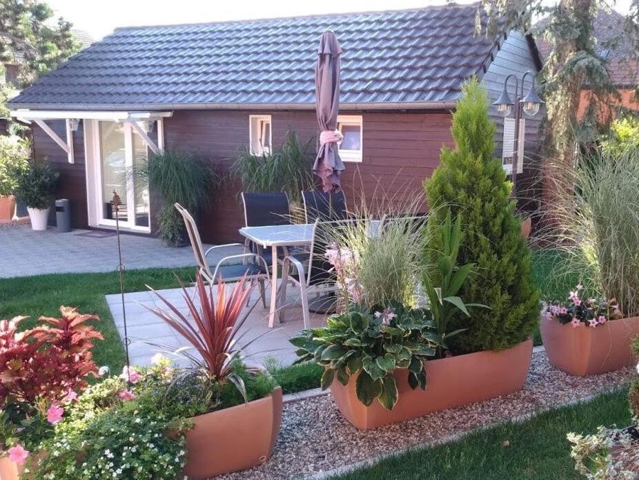 Sundhouse Gites Le P'Tit Paradis Du Ried מראה חיצוני תמונה